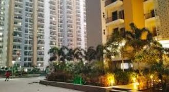 2 BHK Flat for Rent in Palam Vihar, Gurgaon